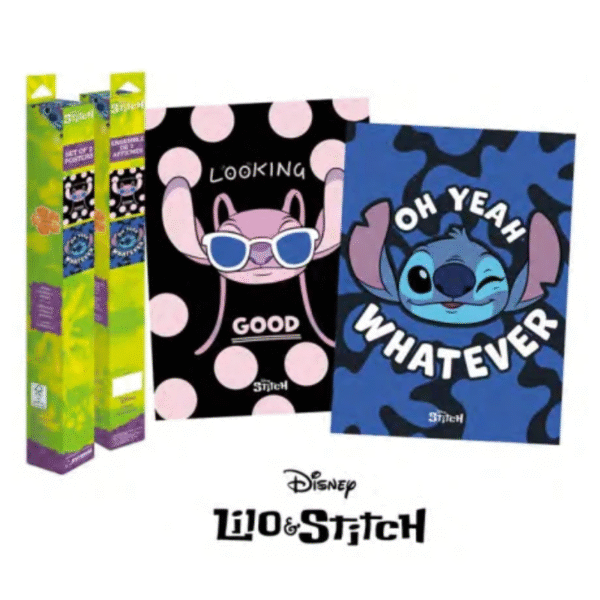 Set de 2 posters stitch - 52x38cm